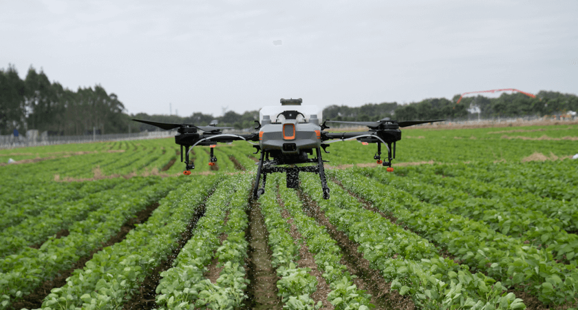 Drone